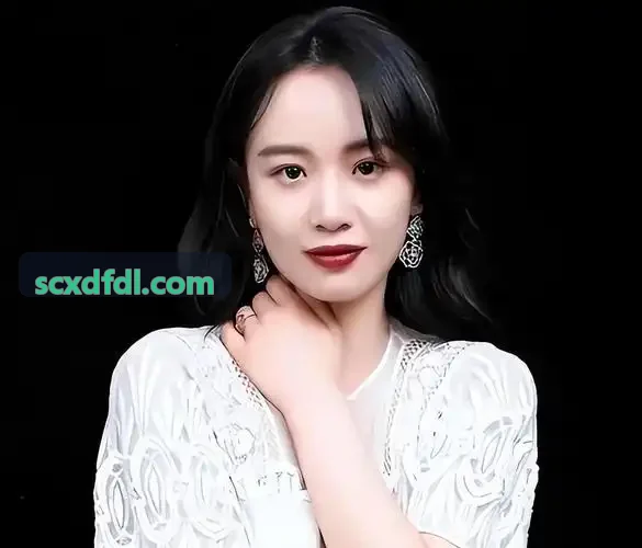 婚内协议条款核对用的家书式文本与印章形确认页
